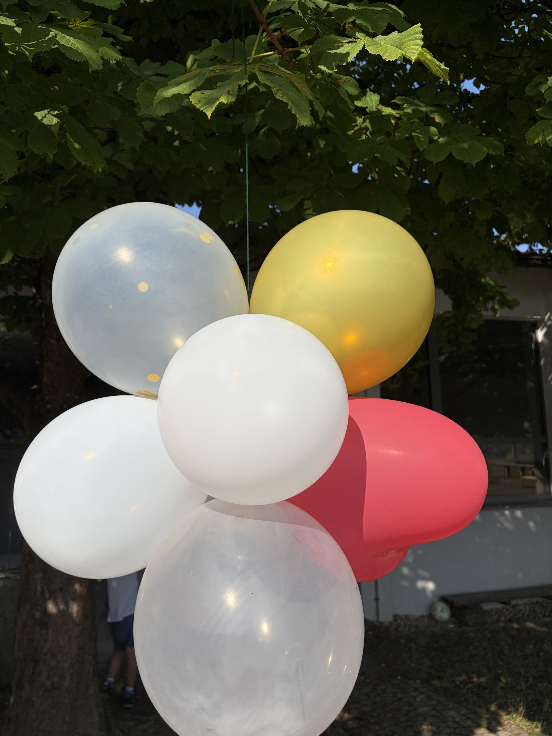 Letzter Schultag vor den Sommerferien